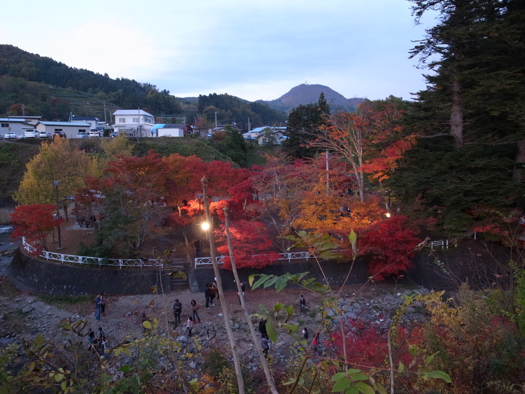 中野紅葉山②