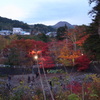 中野紅葉山②