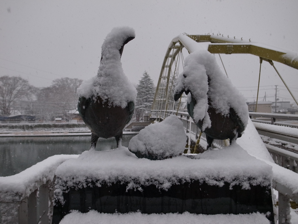 雪の散歩道①