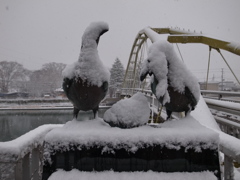 雪の散歩道①
