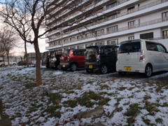 ⑭冬の散歩道