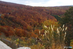 城ヶ倉大橋の紅葉