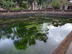 バリ島・人生の楽園（ティルダエンプル③）
