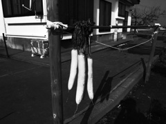 冬の支度①