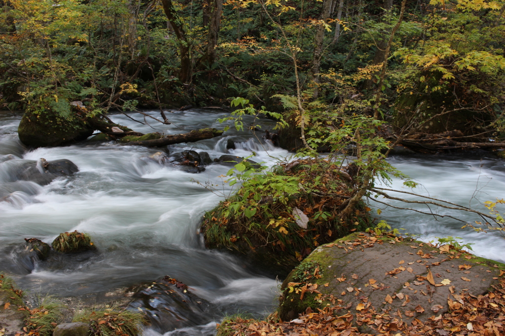 秋の奥入瀬渓流（その２）