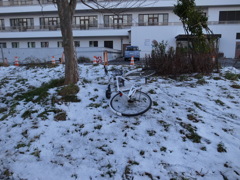 ⑯冬の散歩道