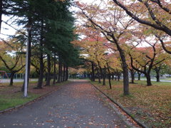 ロマンチックな合浦公園