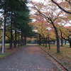 ロマンチックな合浦公園