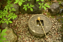 金福寺の蹲