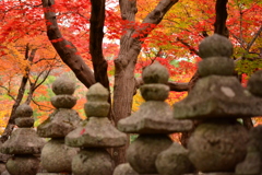 化野念仏寺-1