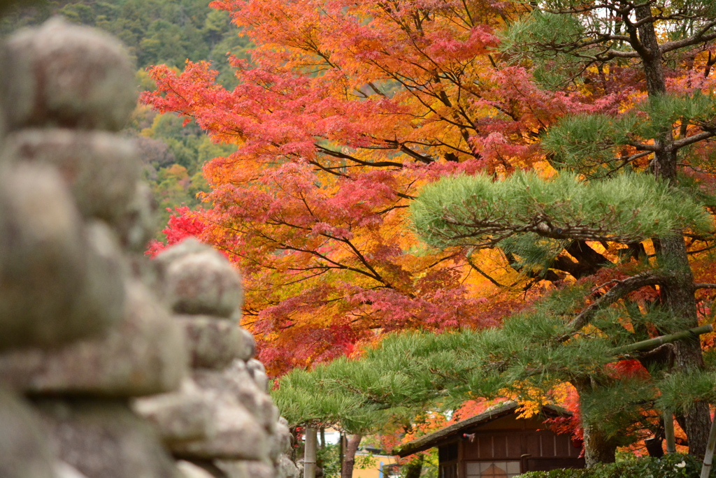 化野念仏寺-3