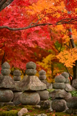 化野念仏寺-4