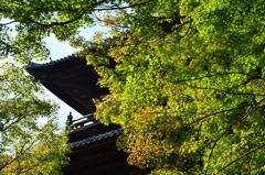 南禅寺-2