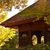 奈良公園にて-1