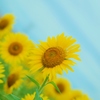 空をみあげて