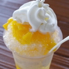 夏の風物詩
