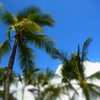 バリ島の青い空