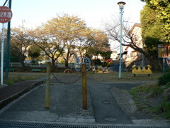 P1110008