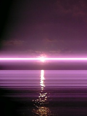 DVC00080