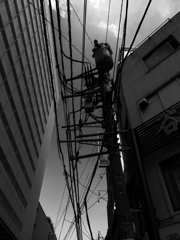 錦糸町の電柱と電線