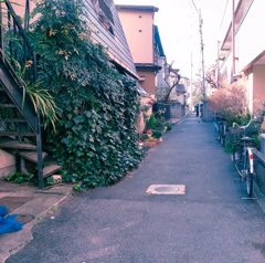 野方道を行く