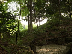 滑らかな光
