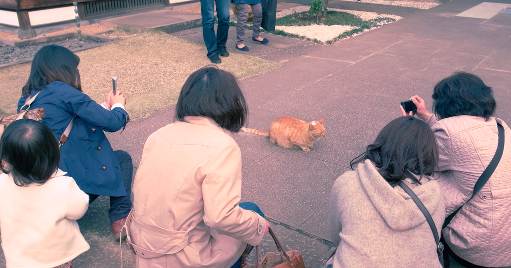 スターの自覚