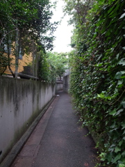 路地
