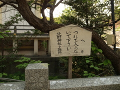 へ？