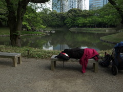 だらけきった自然