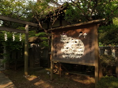 モーーー