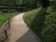 コントラスト