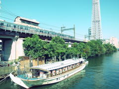 墨田区