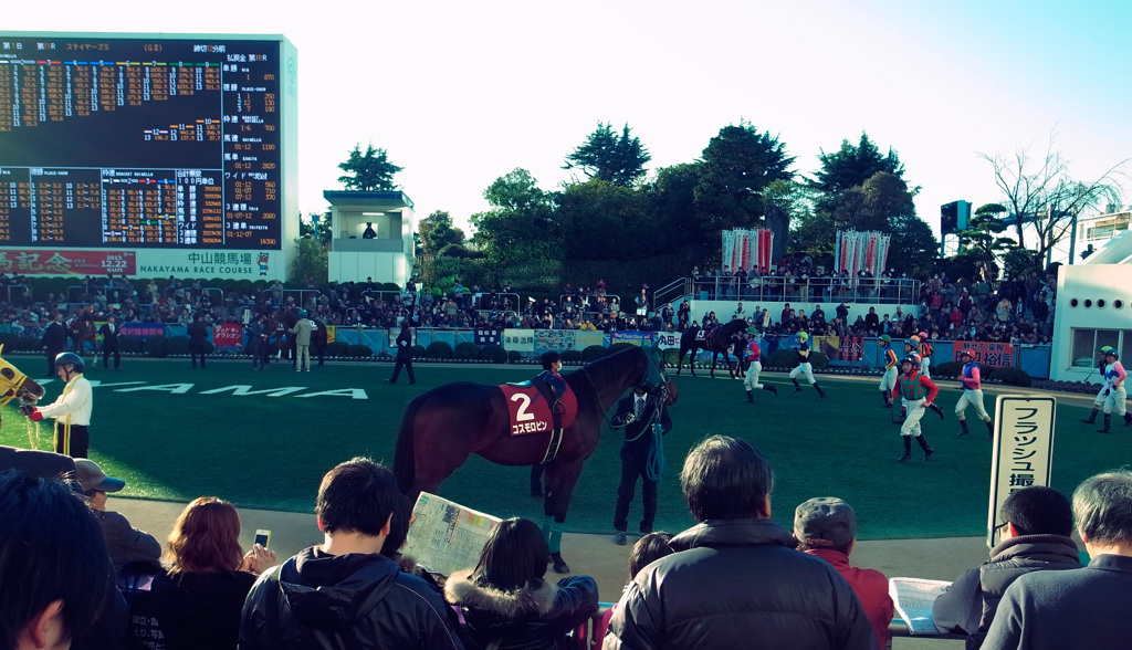 中山競馬場