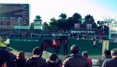 中山競馬場