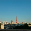 2013-08-28 Tokyo Tower From Ropopngi