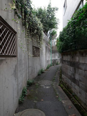 路地