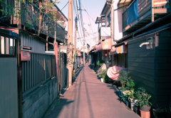 何かありそな谷中路地