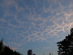 2013-08-28 sky from roppongi