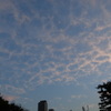 2013-08-28 sky from roppongi