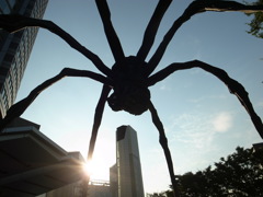 2013-08-28 roppongi