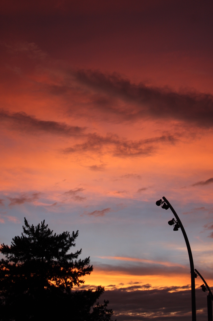 紅い空