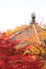 興福寺北円堂の秋
