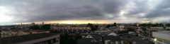 IMAG0238