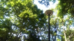 IMAG02281