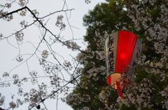 上野散歩