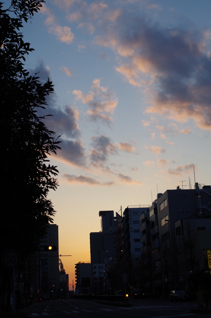 暮れゆく東京