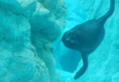 動物園