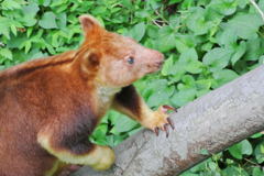 動物園