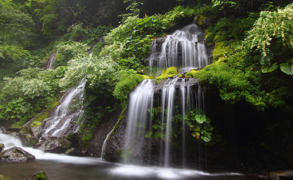 吐竜の滝